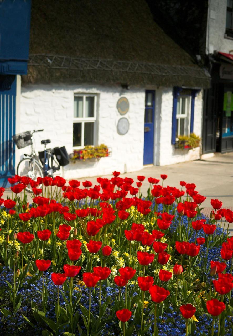 The Redbank Guesthouse 스케리스 외부 사진